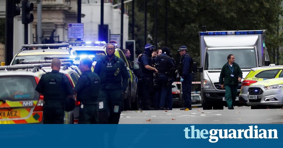 Crash at London’s Natural History Museum not terror-related, say police