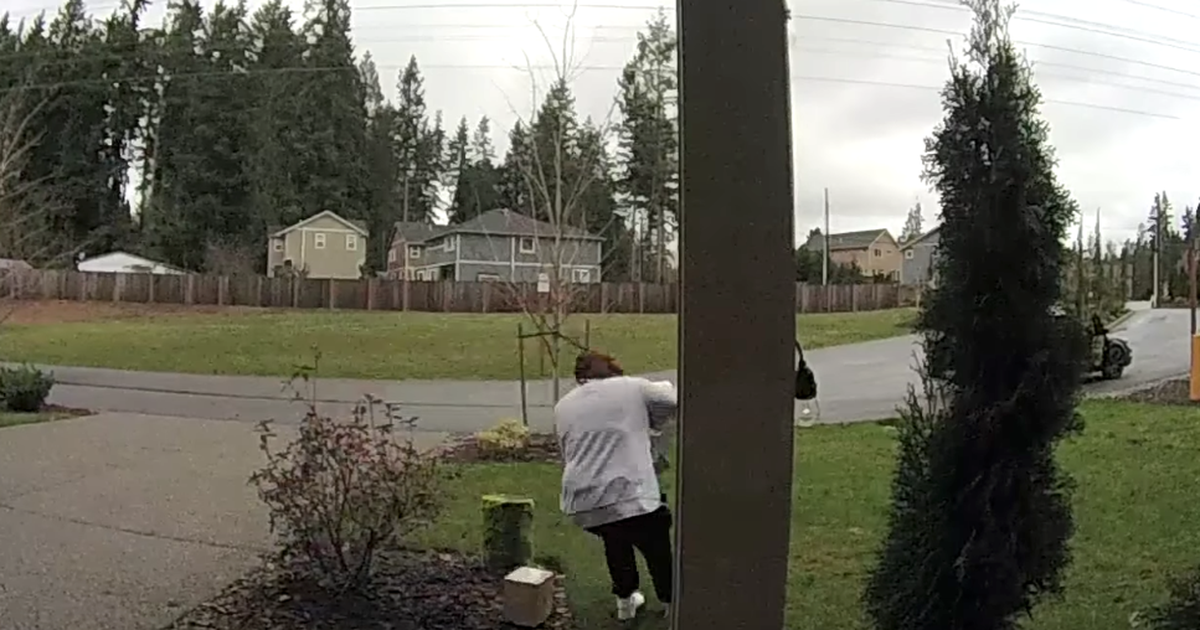Package thief gets immediate dose of instant karma