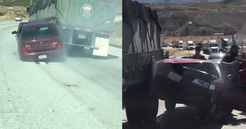 What These Drivers Saw On The Road Left Them All Honking Like Crazy. WTF?