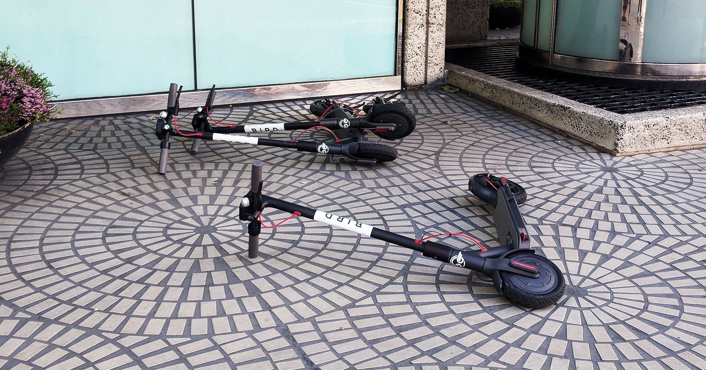 Discombobulated Cities Wrestle With an Electric Scooter Influx