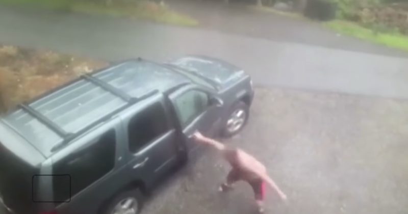 He Quickly Opened His Car Door. What Was Inside Sent Him Running.